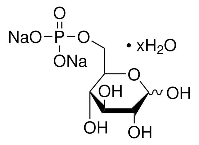 Gluco6 Review
