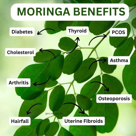 Moringa Magic Review