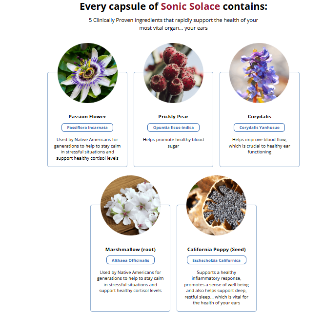 Sonic Solace review– The Hottest New Ear Health Offer 