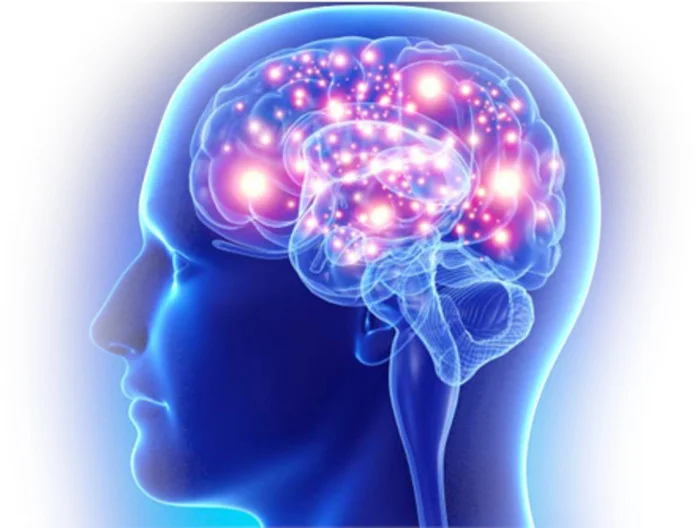 Neurodrine Review