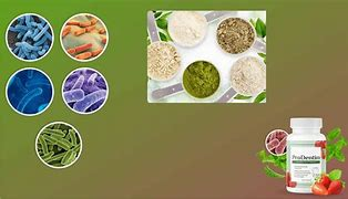 Prodentim Review