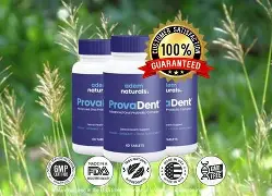 ProvaDent Review