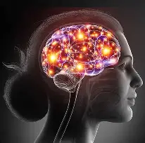 Neuro Thrive Review