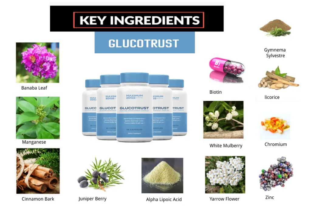 GluvoTrust Review