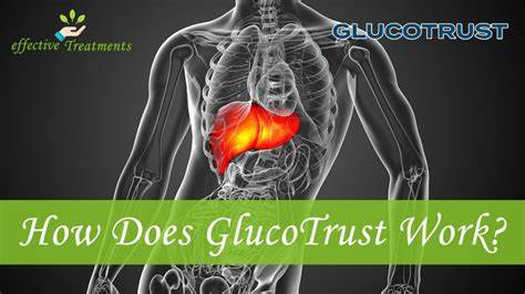 GluvoTrust Review