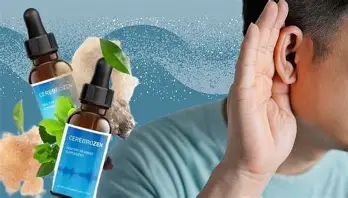 Cerebro Zen Review