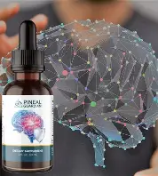 The Pineal Guardian Review