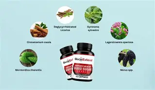 Gluco Extend Review