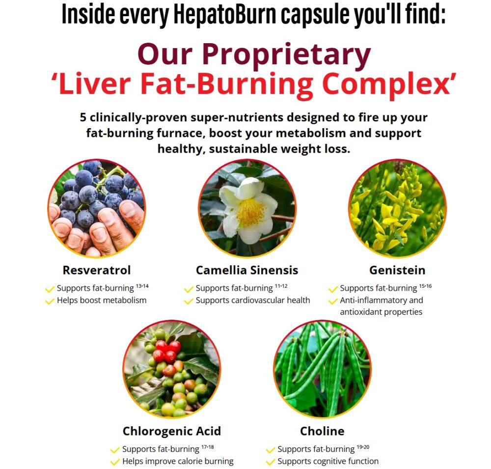 HepatoBurn Review