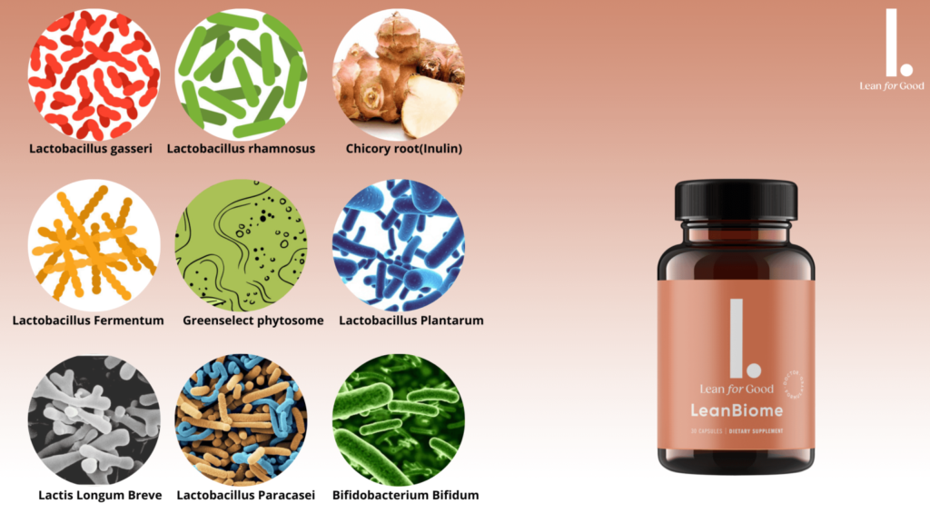 LeanBiome