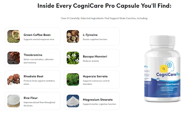 CogniCare Pro