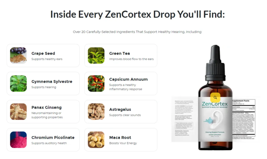 ZenCortex